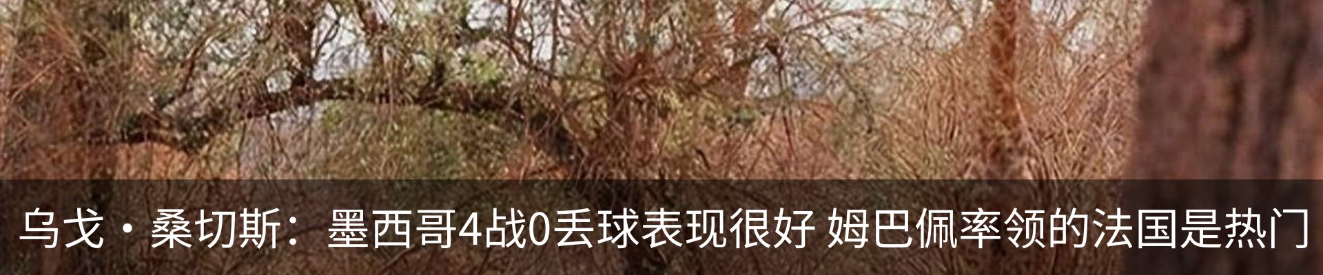 资讯动态